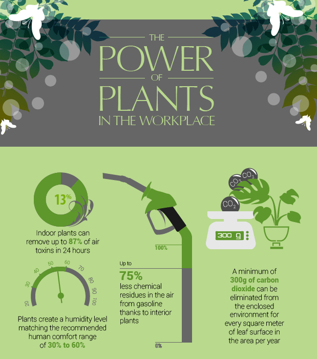 Power of plants 1